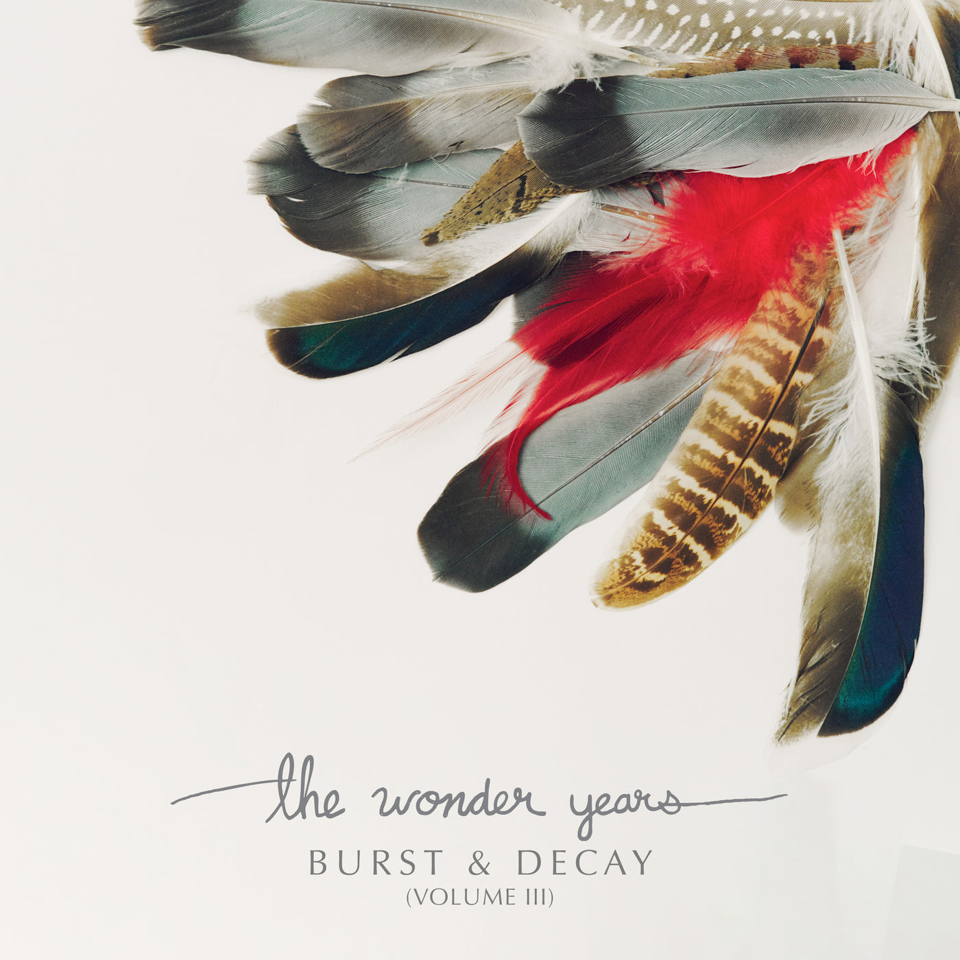 The wonder years Burst and Decay vol 3