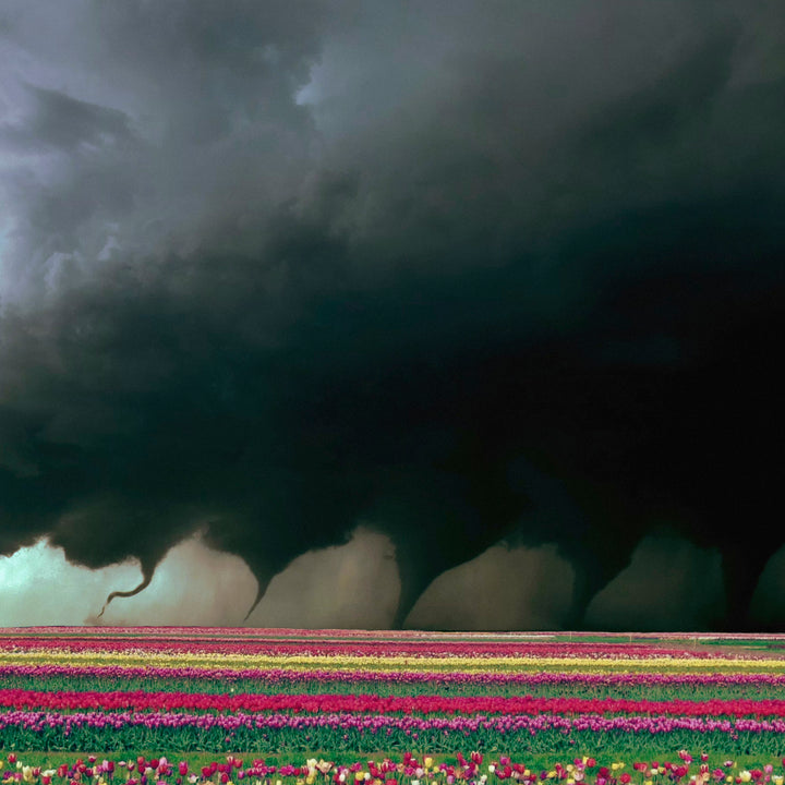 M.A.G.S. - Destroyer (CD Only)