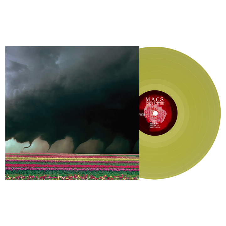 M.A.G.S. - Destroyer (LP Only)