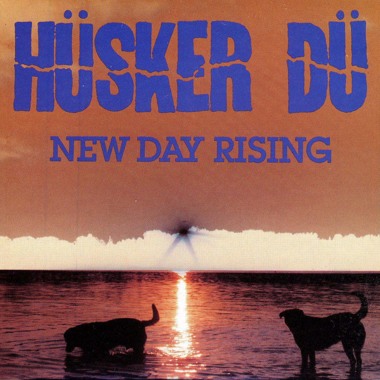 Husker Du - New Day Rising