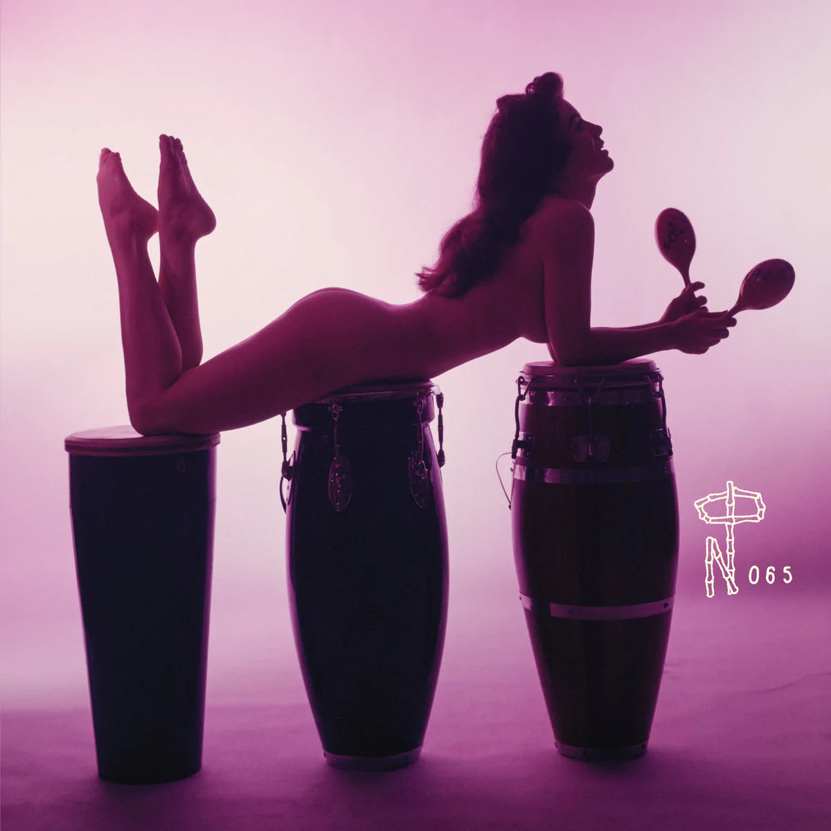 V/A - Technicolor Paradise: Rhum Rhapsodies and Other Exotic Delights