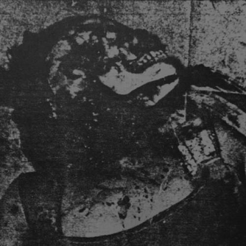 Mutilated Tongue - Fuel The Flame