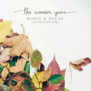 The Wonder Years - Burst & Decay (RSD)