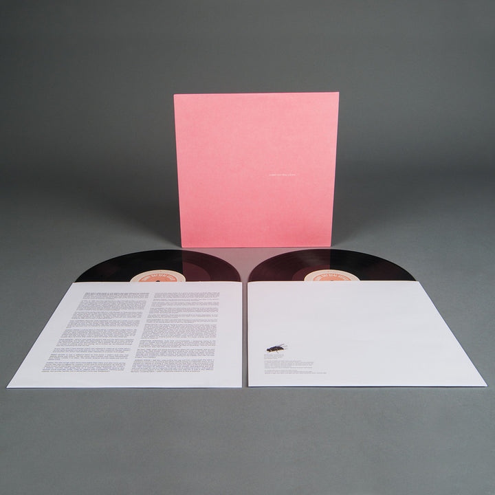 Sunny Day Real Estate - LP2